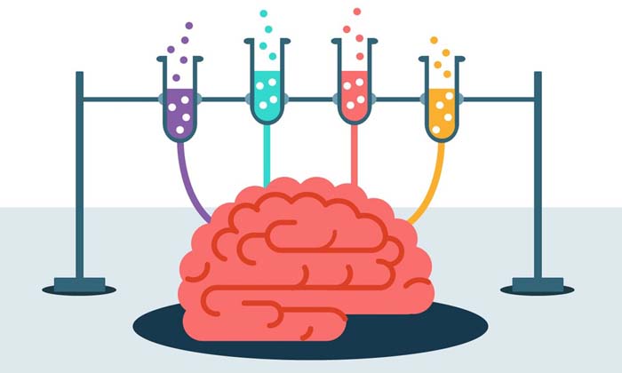 Wake Up the Genius in you with Brain Training