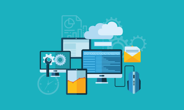 Why Physical verification of an asset is important in an organization?