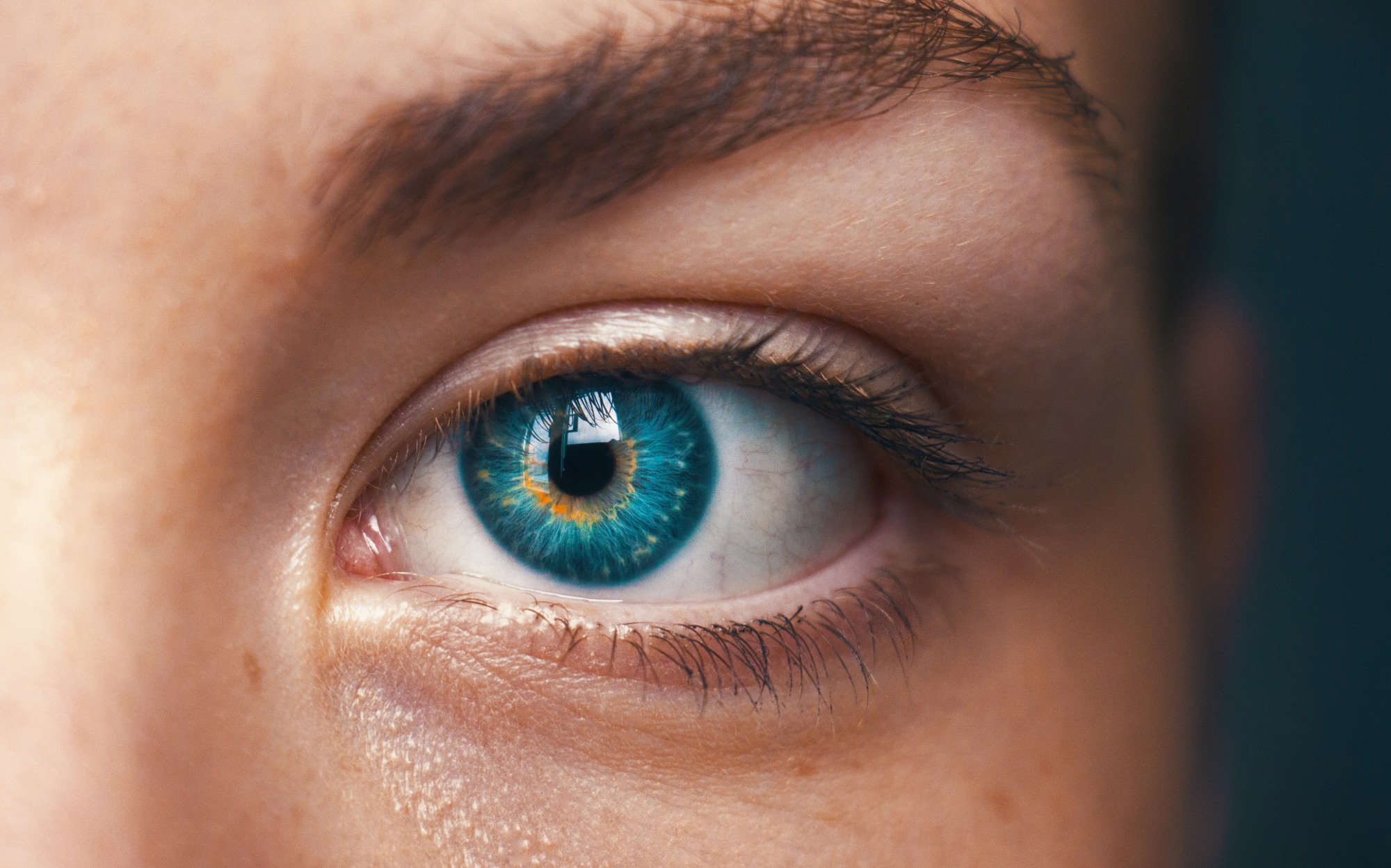 6 Cognitive Psychology Theories to Improve UX Design