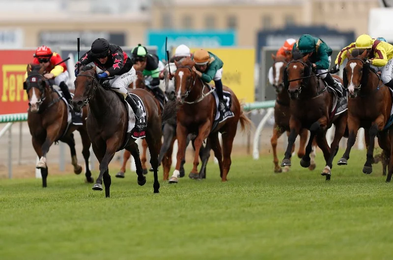 Tips To Make You A Winner When Betting On The Magic Millions Classic